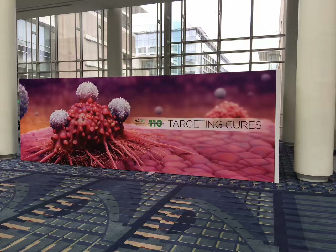 custom-backdrop-banner-for-cancer-research-conference in DC